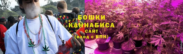 экстази Белокуриха