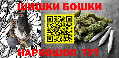 хмурый Абакан