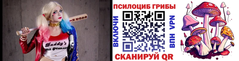 блэк спрут зеркало  Бузулук  Галлюциногенные грибы Magic Shrooms  как найти наркотики 