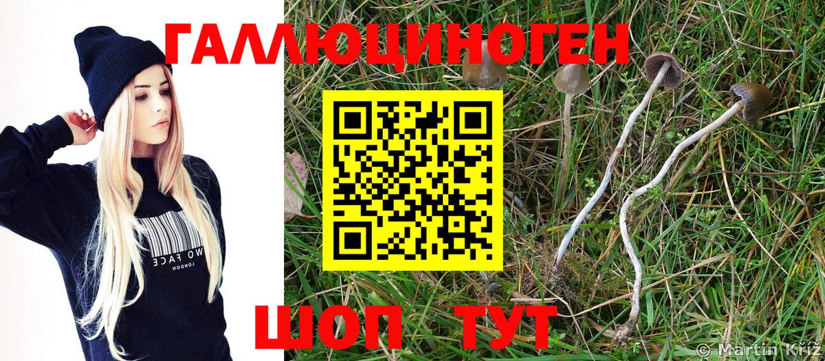 Бузулук  Галлюциногенные грибы Magic Shrooms  Вход с VPN  Псилоцибиновые грибы мухоморы 