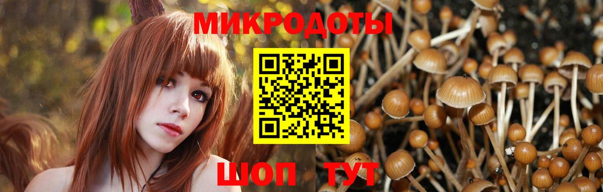 Галлюциногенные грибы MAGIC MUSHROOMS  Бузулук 